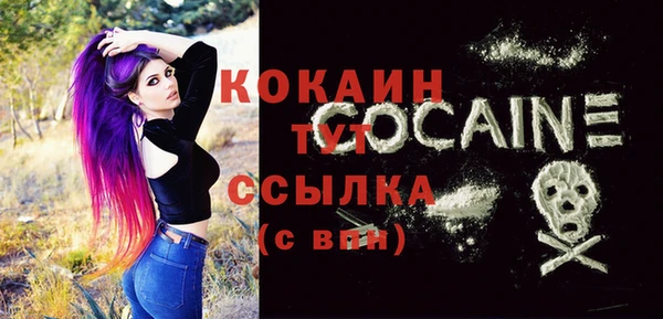 тгк Алзамай